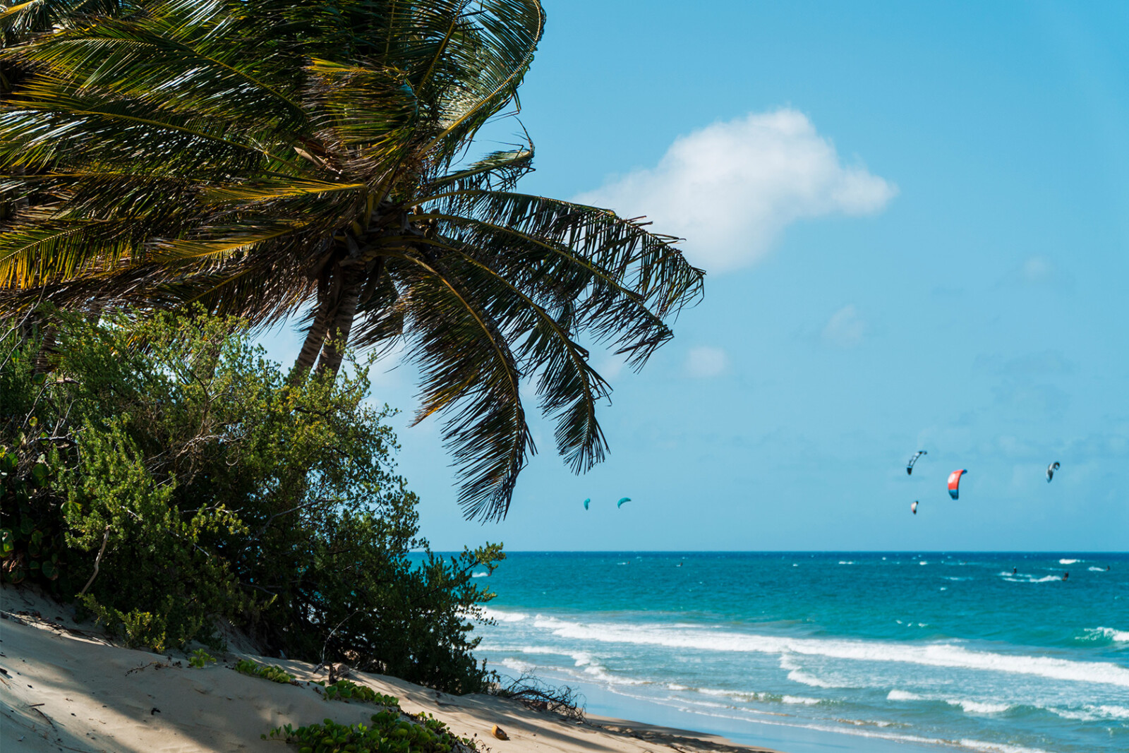 Kitesurfeur à Cabarete avec vagues turquoises